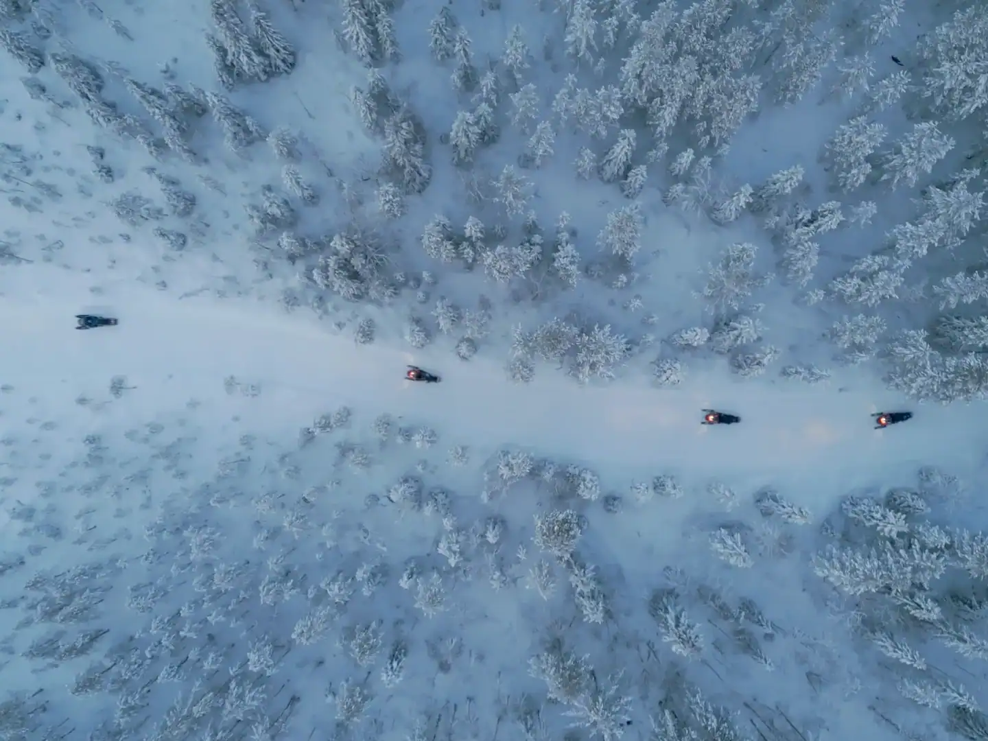 snowmobiling at apukka resort rovaniemi lapland finland