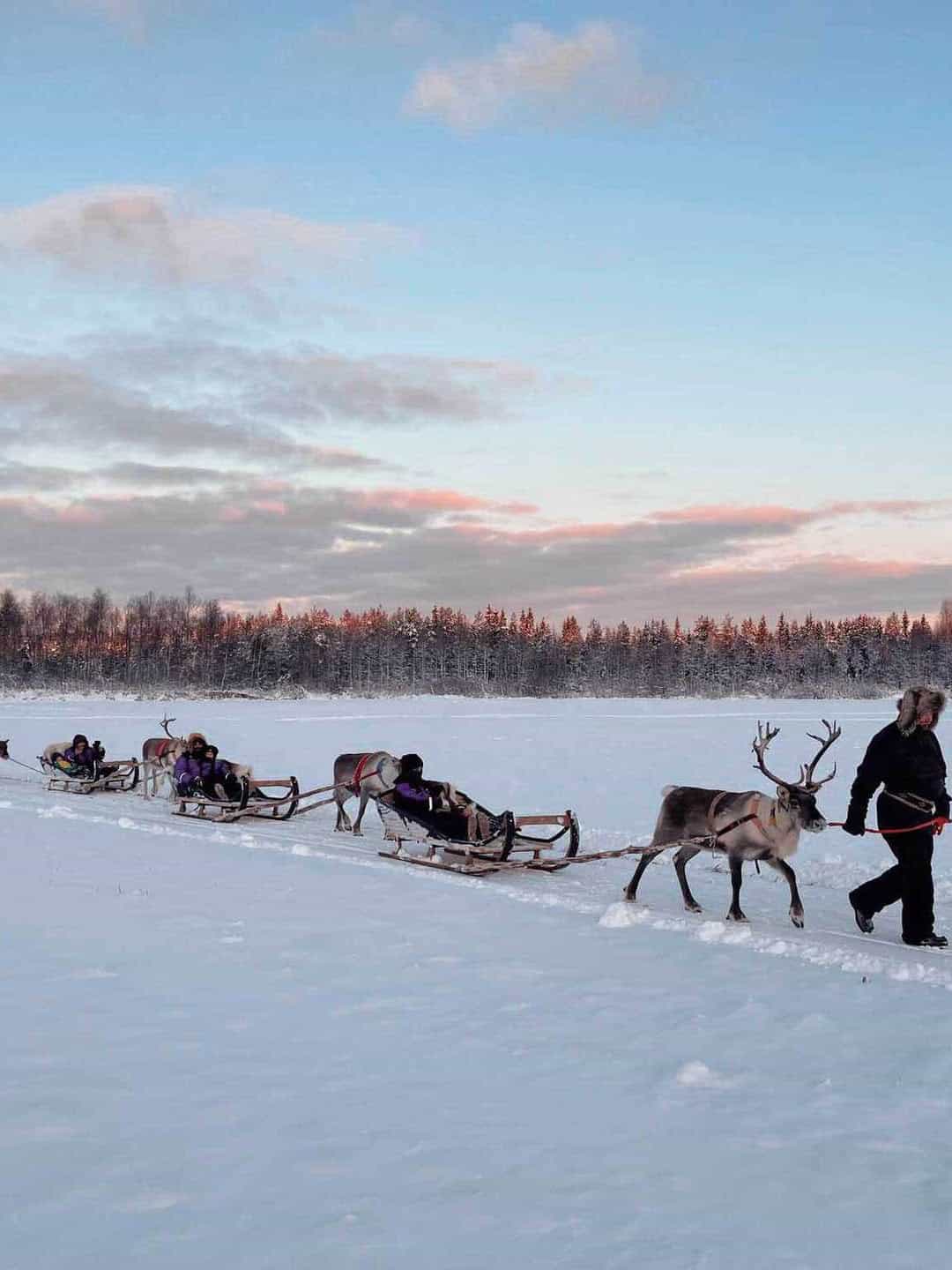 reindeer tour apukka resort Rovaniemi lapland finland