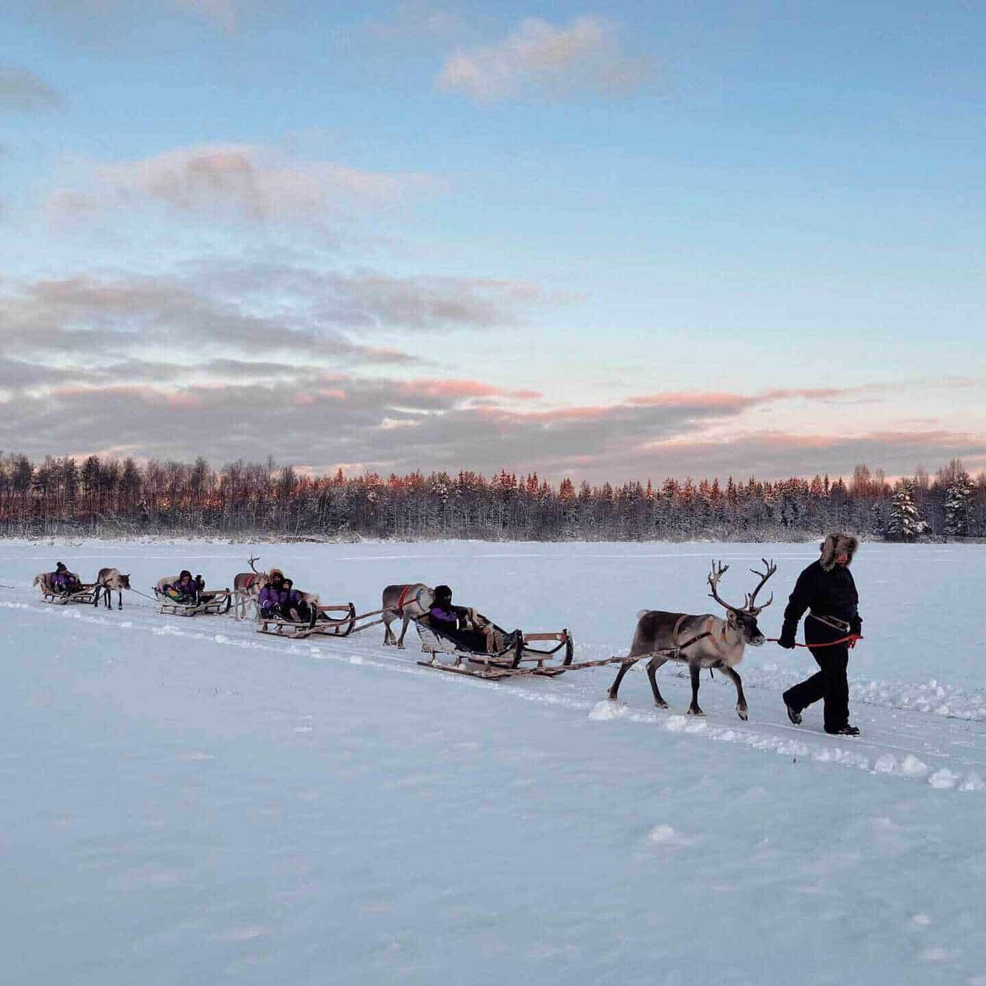 reindeer tour apukka resort Rovaniemi lapland finland