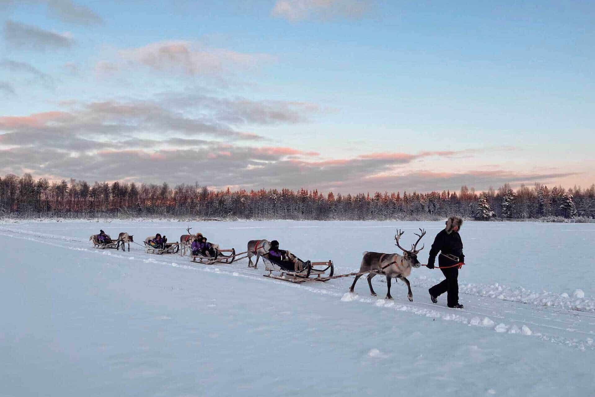 reindeer tour apukka resort Rovaniemi lapland finland