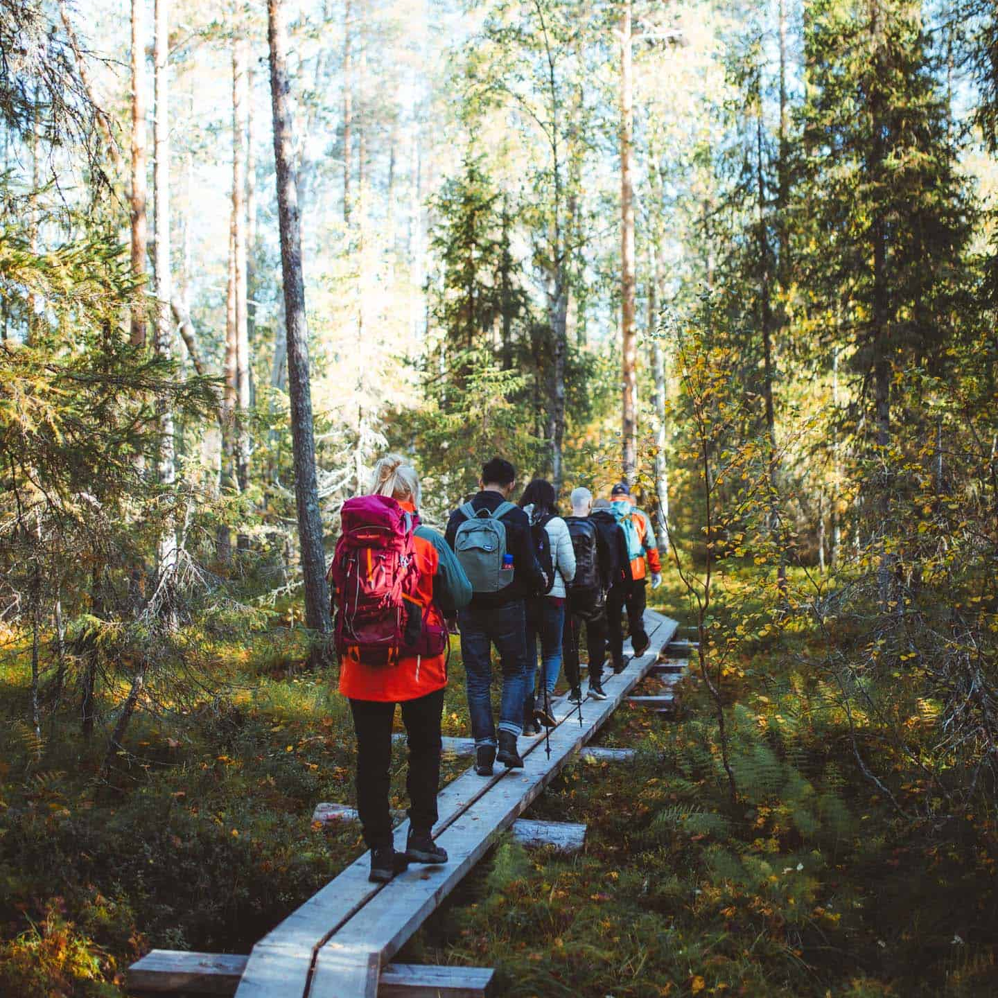 trekking in apukka resort Rovaniemi lapland finland