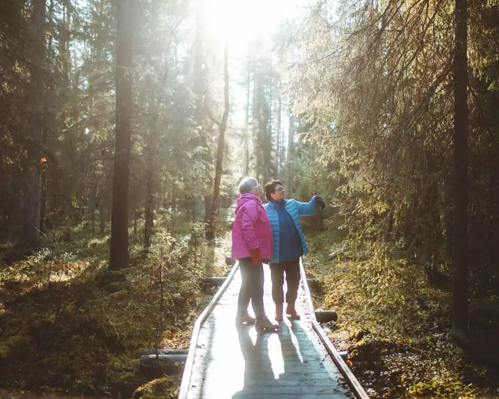 Two women standing on duckboards admiring the wilderness