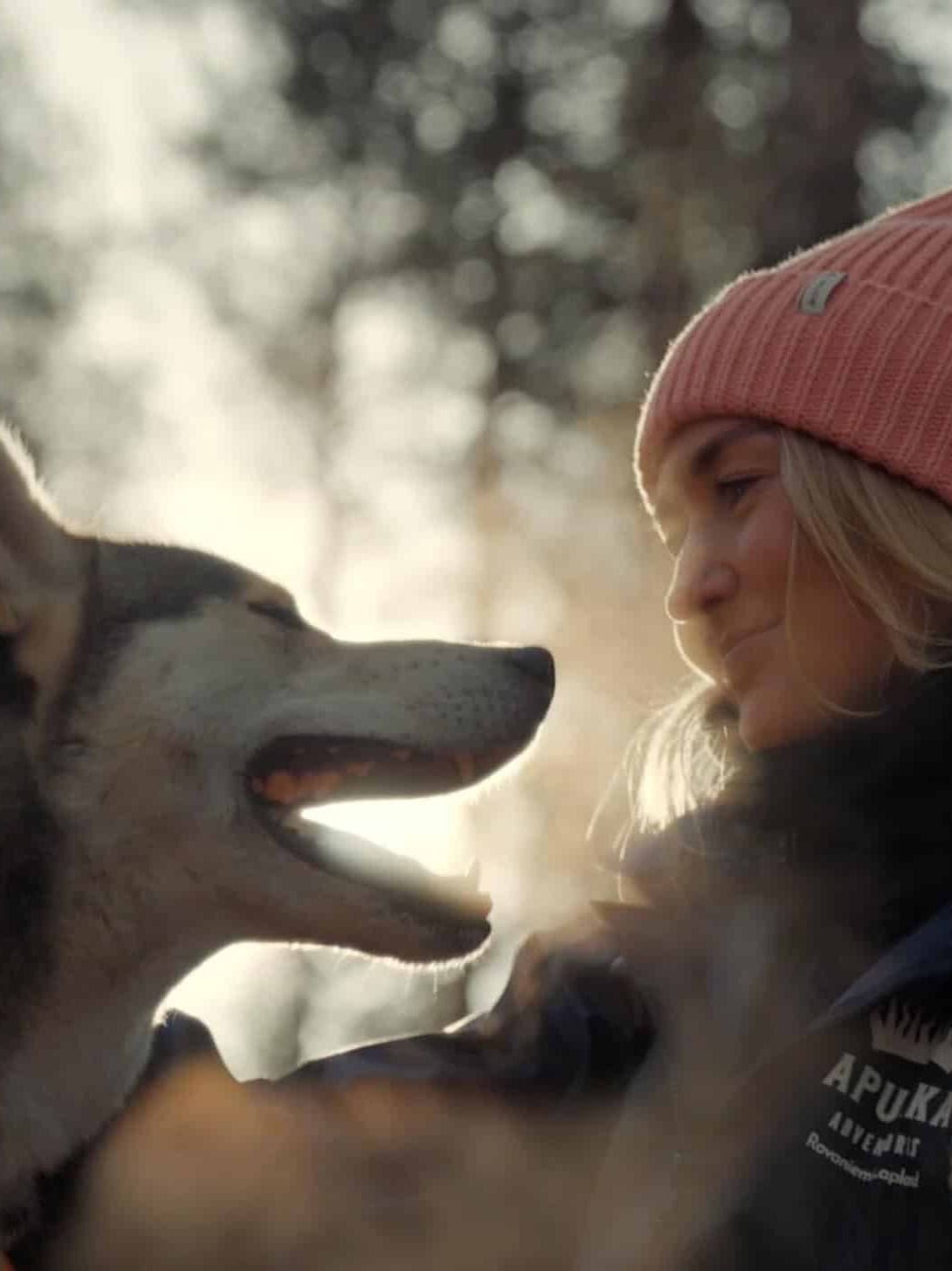 meet huskies apukka resort Rovaniemi Lapland finland