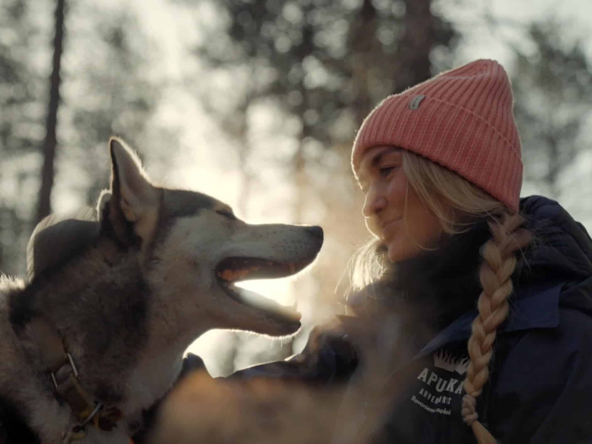meet huskies apukka resort Rovaniemi Lapland finland