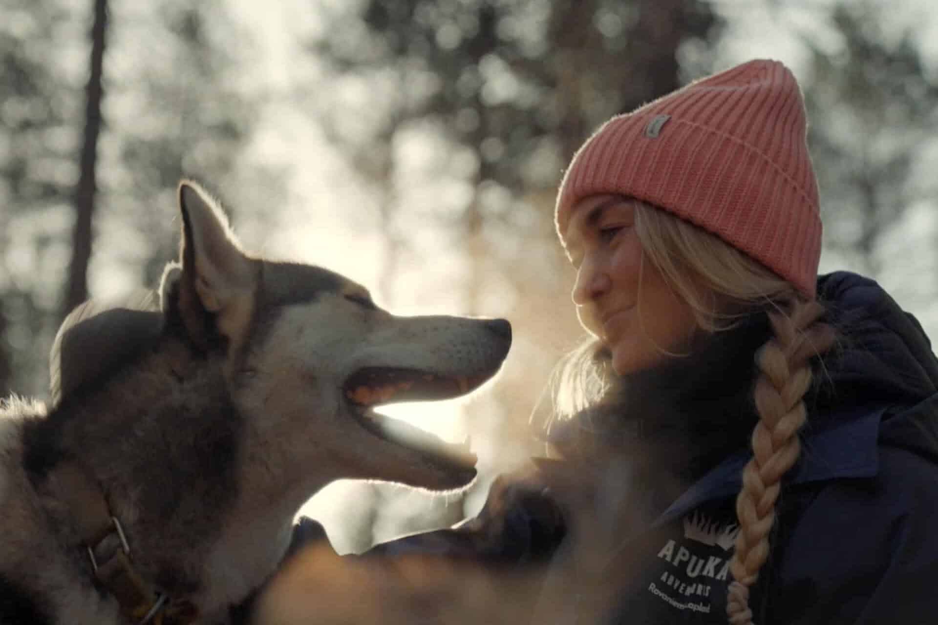 meet huskies apukka resort Rovaniemi Lapland finland