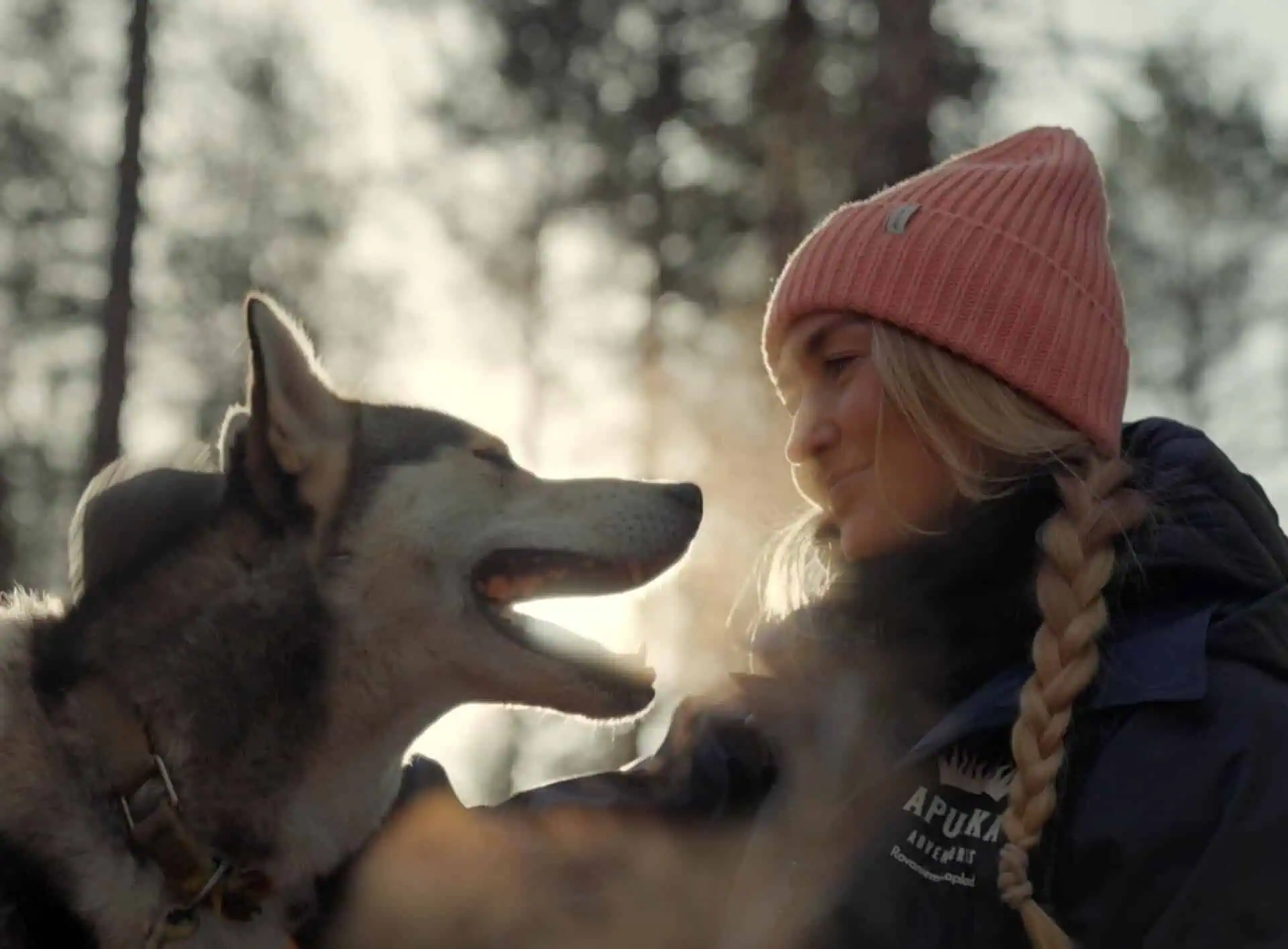 meet huskies apukka resort Rovaniemi Lapland finland