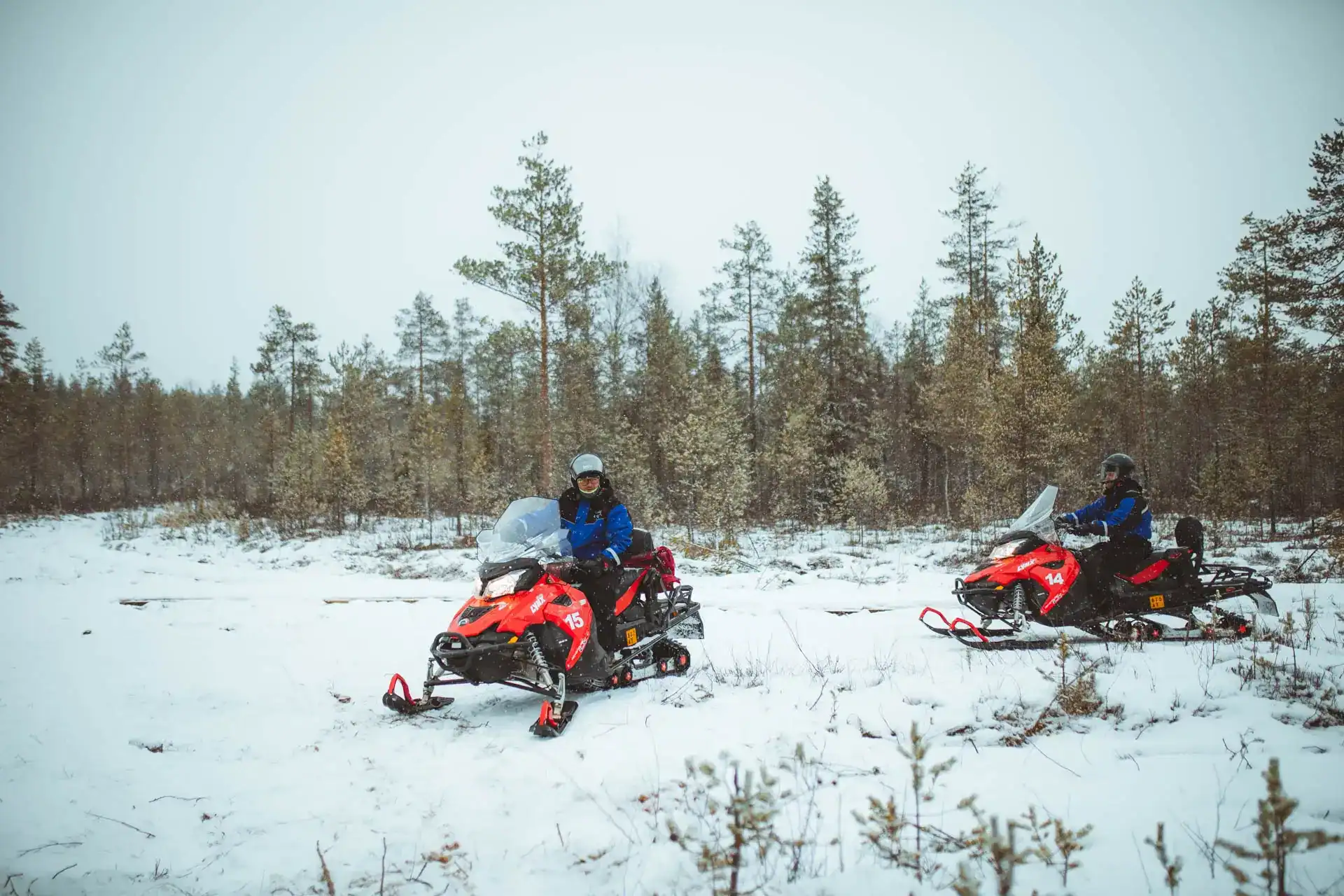Two snowmobilers in an early winter Lappish forest