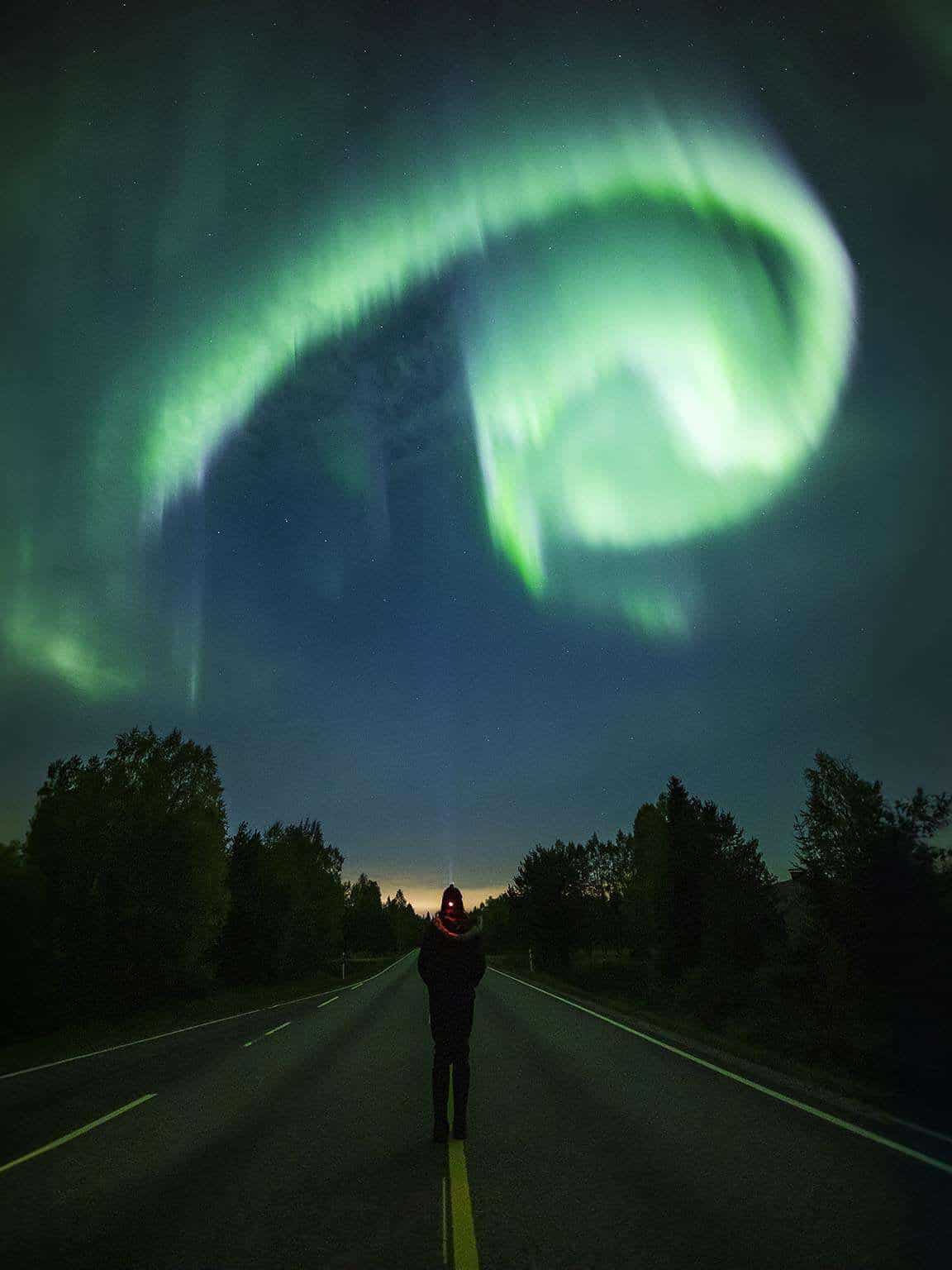 Autumn aurora hunting apukka resort Rovaniemi lapland finland