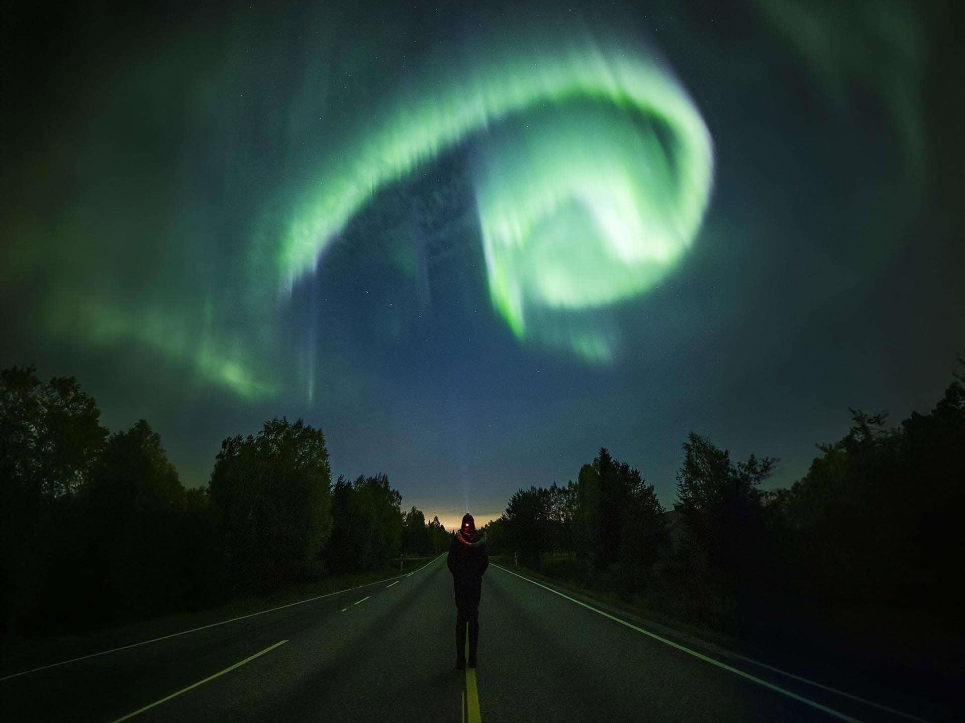 Autumn aurora hunting apukka resort Rovaniemi lapland finland