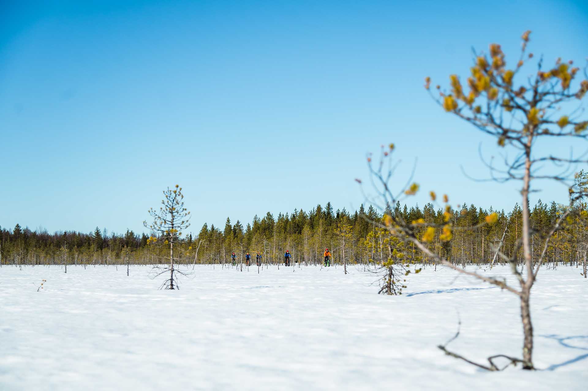 Guided eFatbike tour in Apukka Resort Rovaniemi Lapland Finland