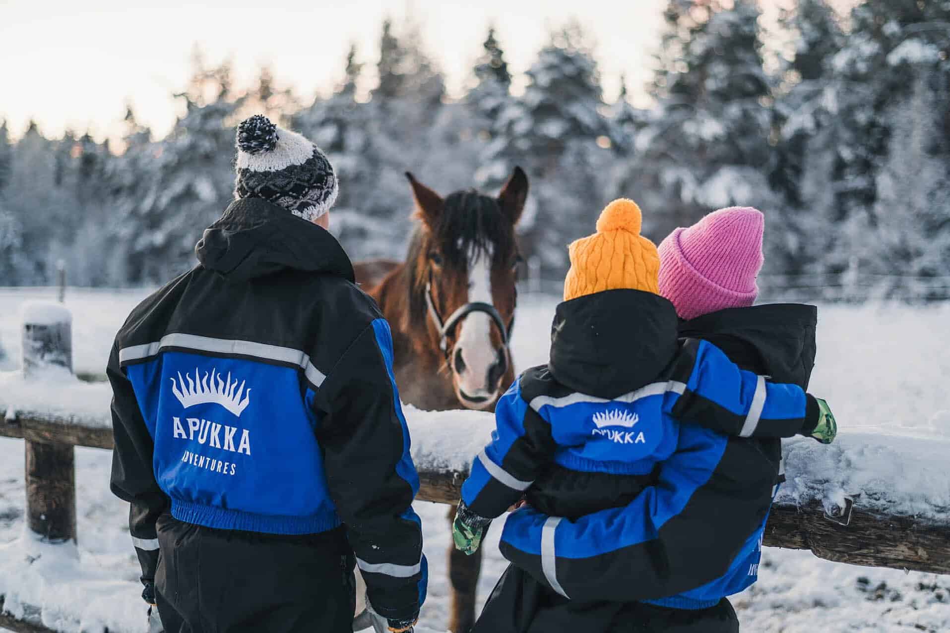 winter holiday package for families apukka resort rovaniemi lapland finland