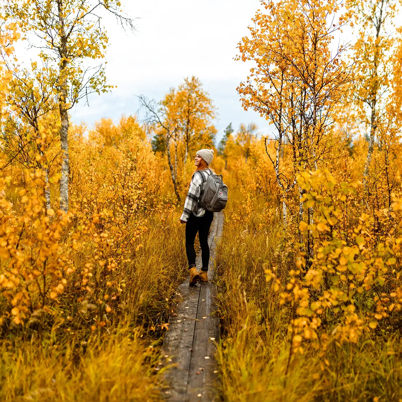 self-guided trip to arctic circle hiking area apukka resort rovaniemi lapland finland