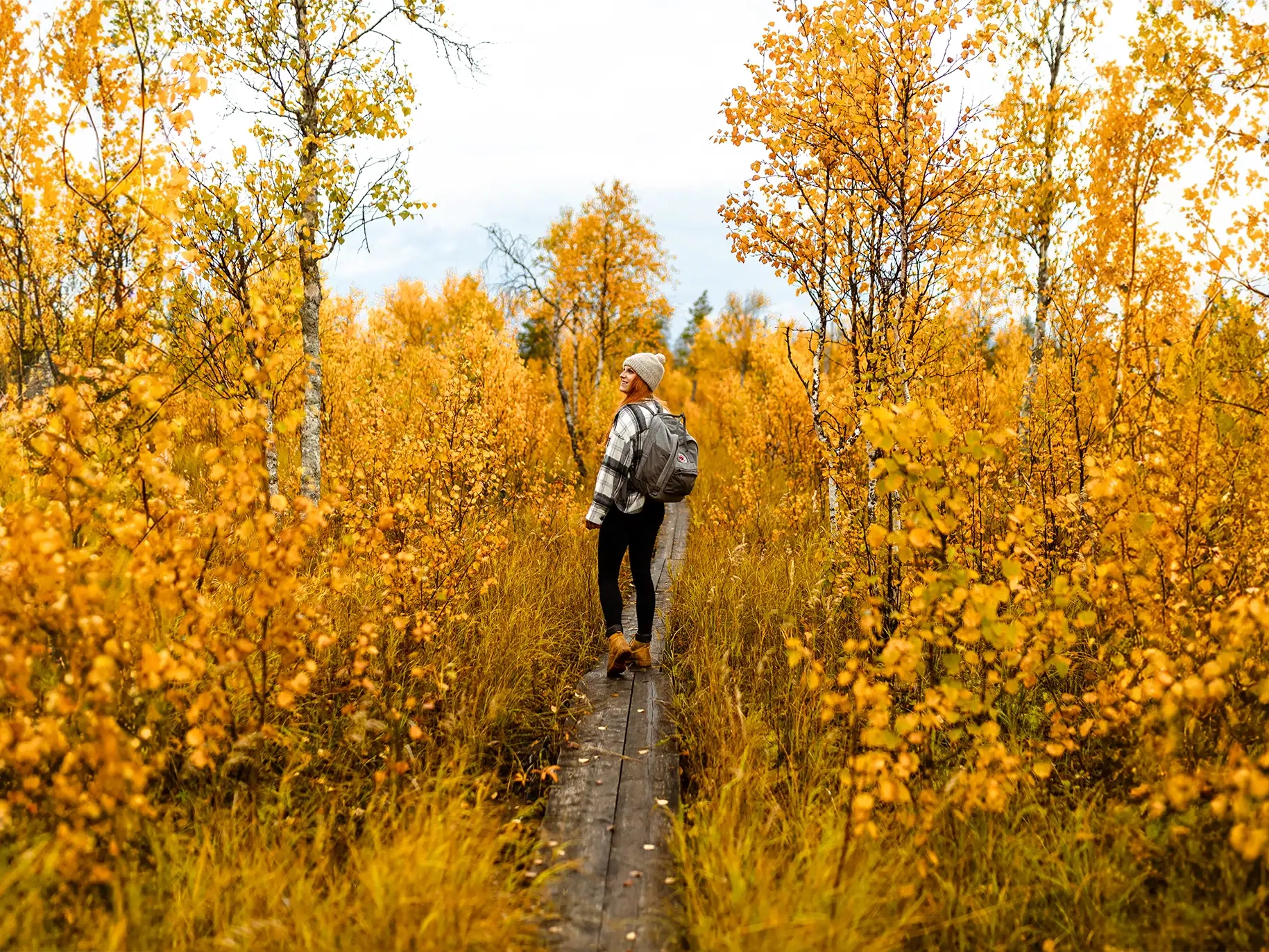 self-guided trip to arctic circle hiking area apukka resort rovaniemi lapland finland