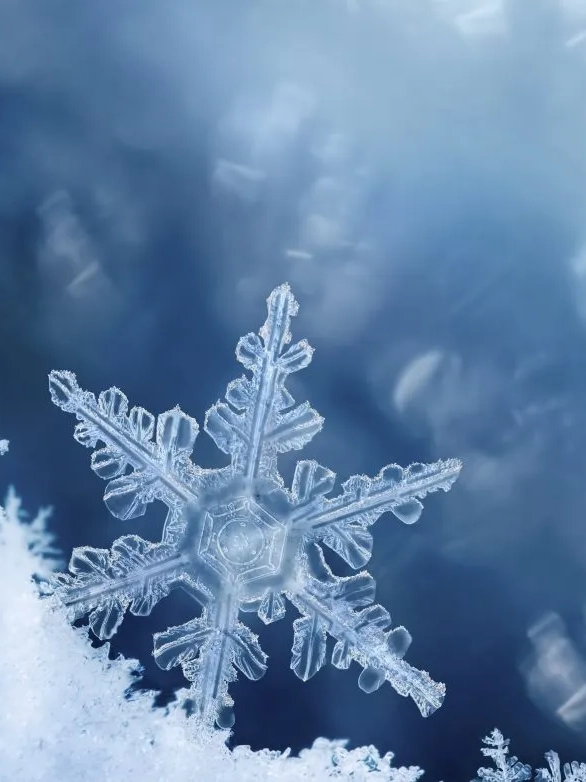 Image of a snowflake