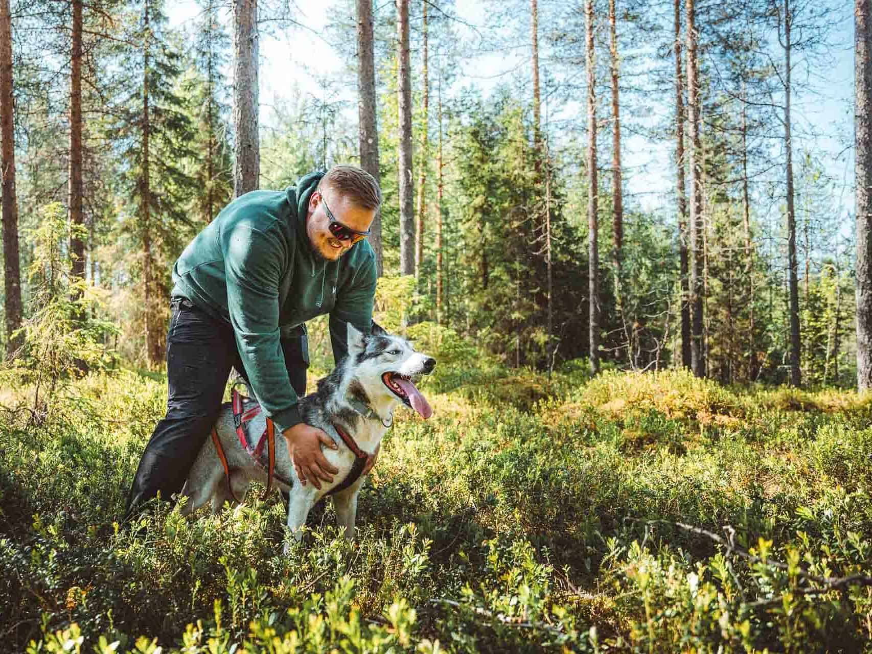 Walk with huskies, break time