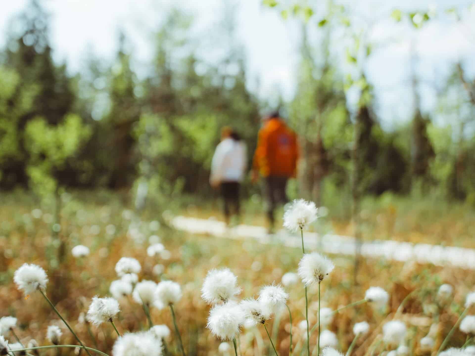 trekking in the heart of nature