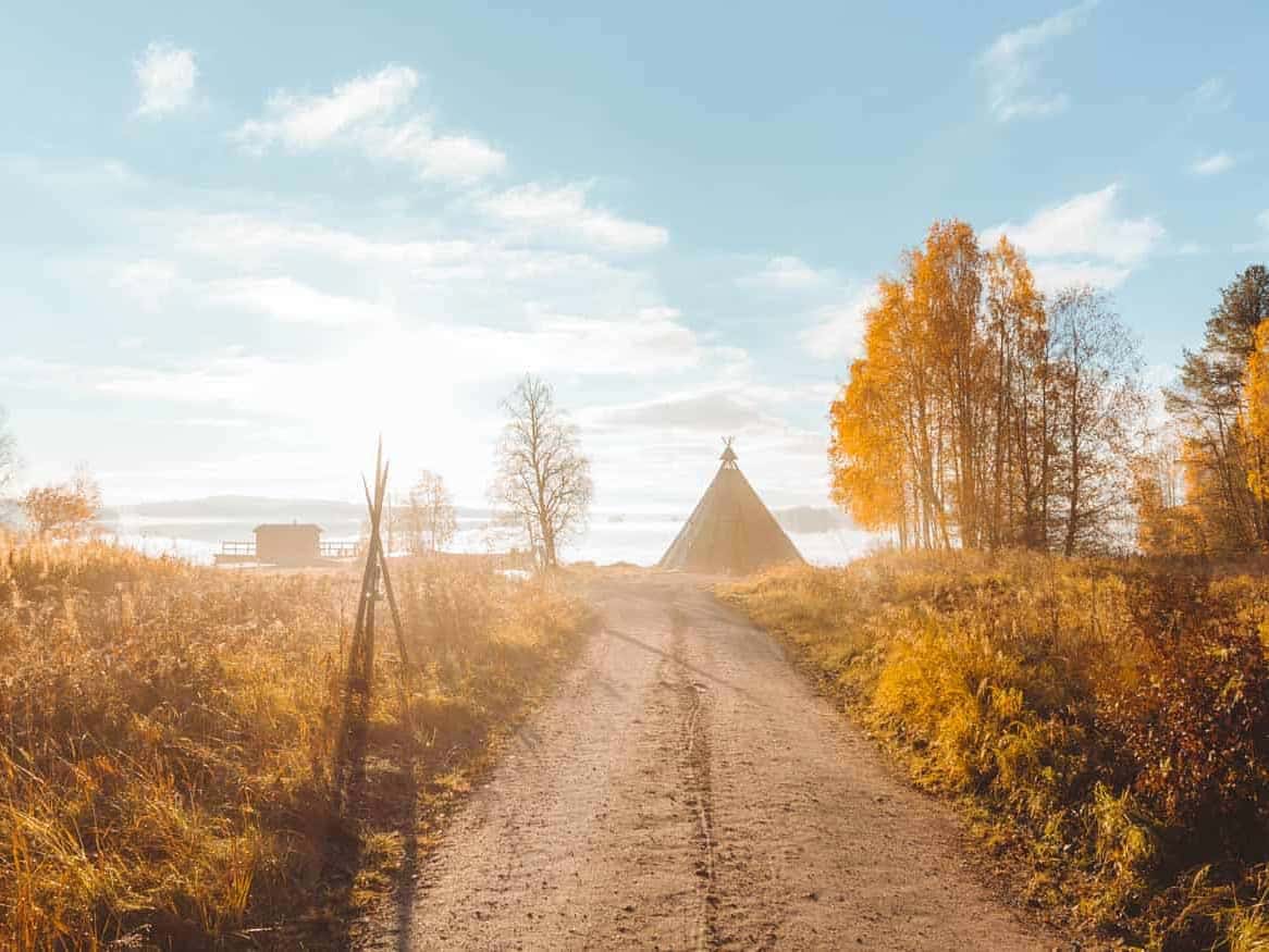 autumn foliage at Apukka Resort