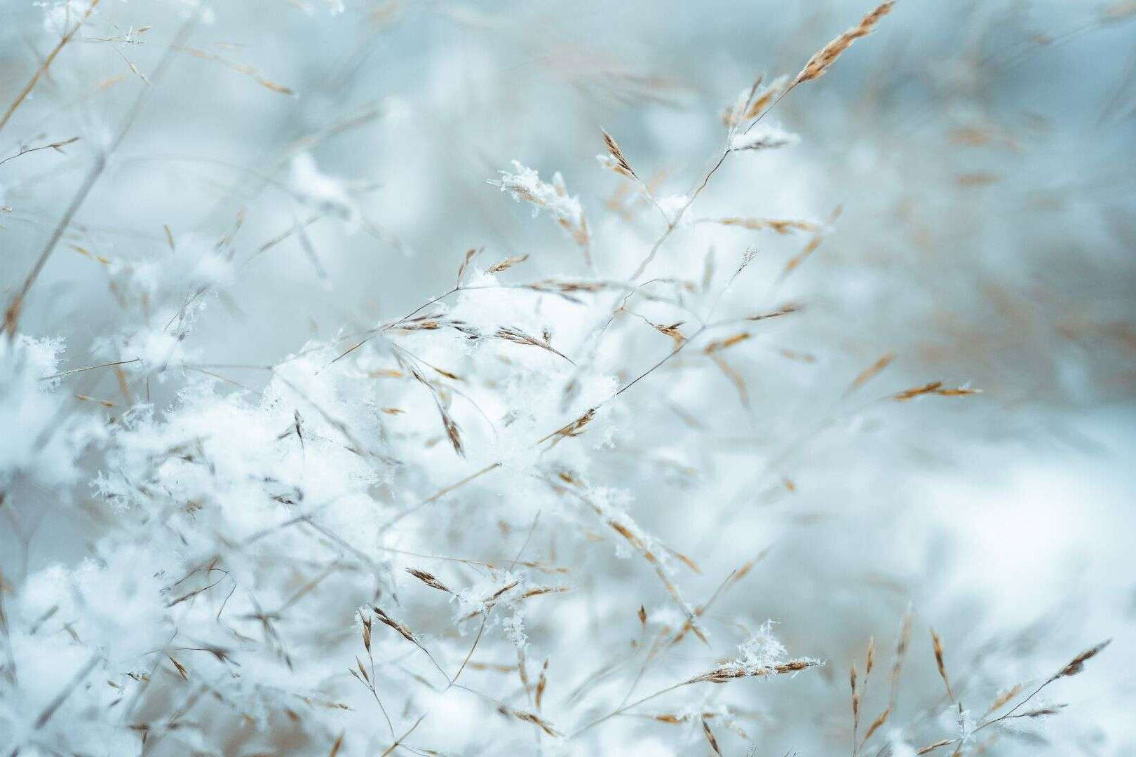 first snow landing on autumn leabes at apukka resort