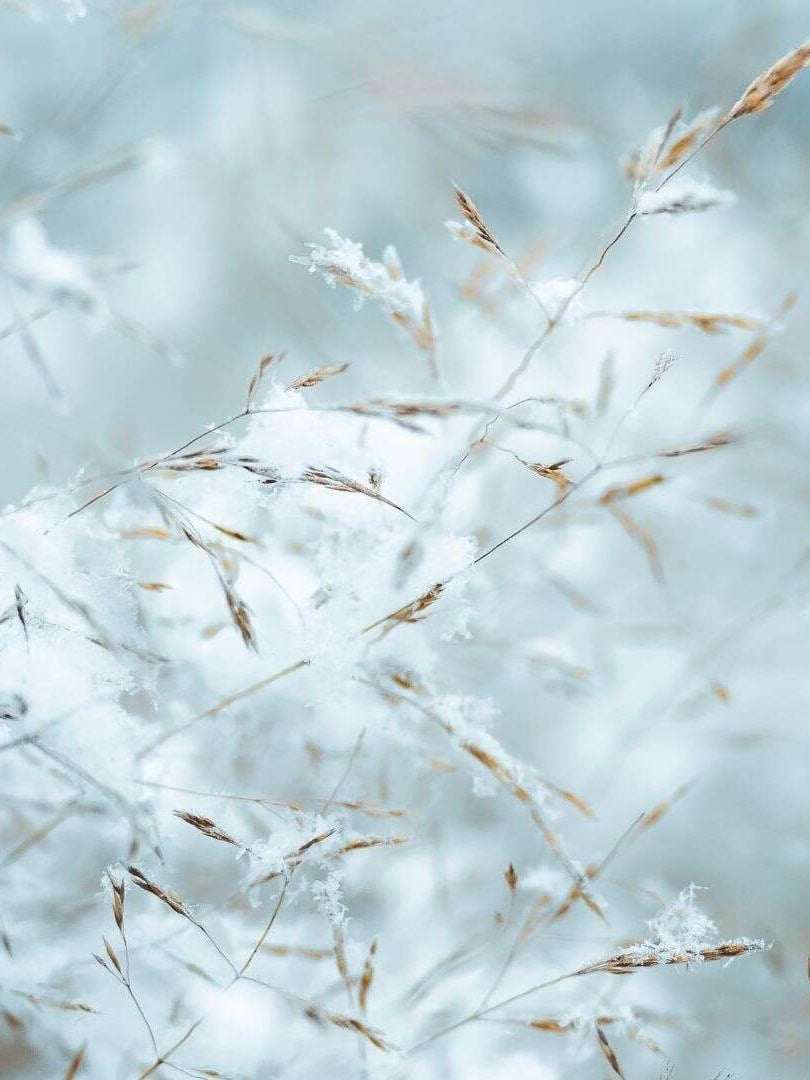 first snow landing on autumn leabes at apukka resort