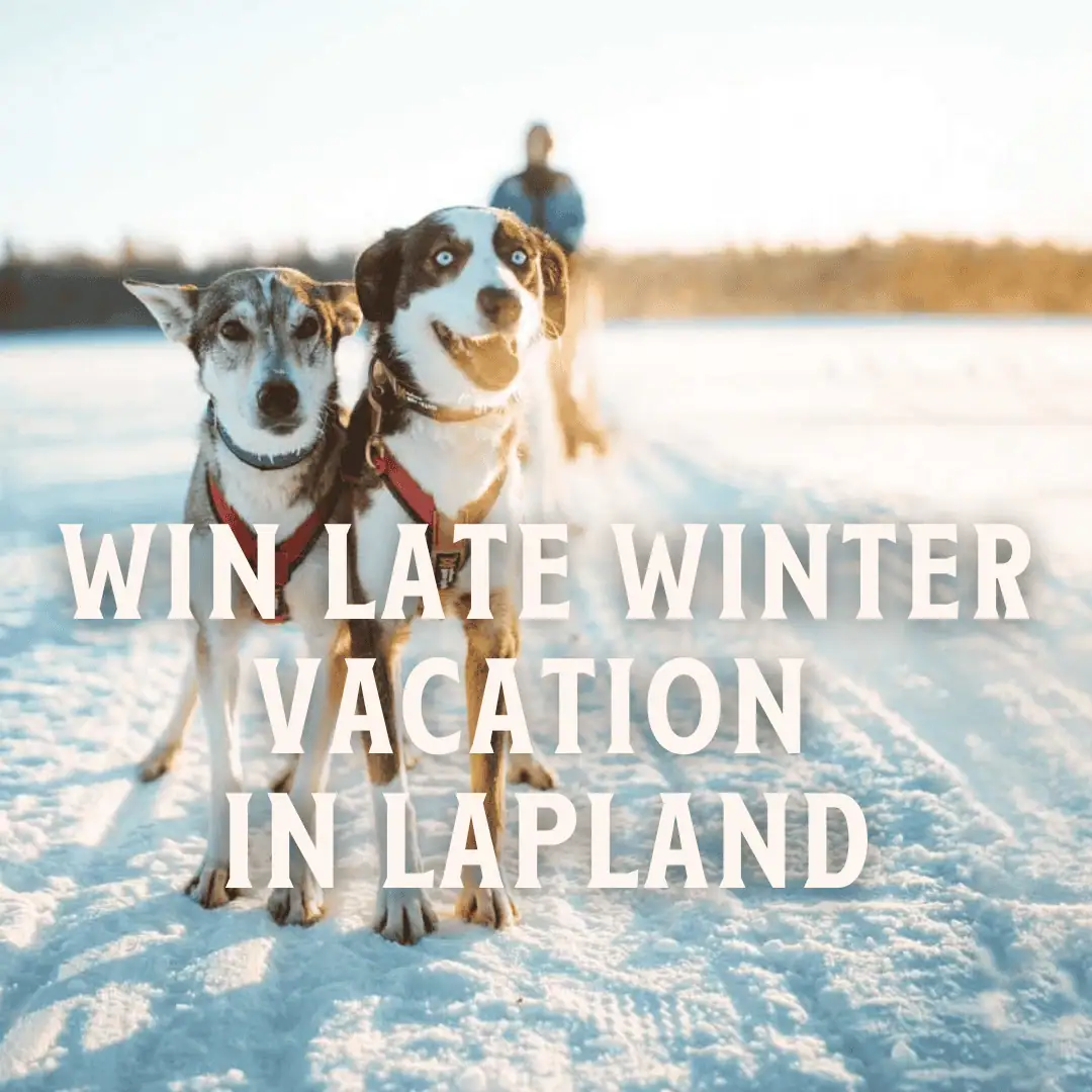 Win a late winter vacation in lapland